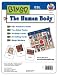 Book ESL Bingo Game: Human Body (ESL Bingo Games)