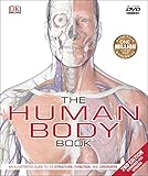 The human body
