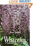 Wisterias: A Comprehensive Guide