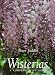 Wisterias: A Comprehensive Guide