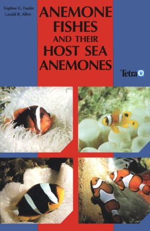 anemone fishes  their host sea anemones