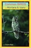 Common Birds of Montana and Idaho
