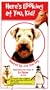 Here's Looking at You, Kid! [VHS]
