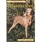 Our Dog Books