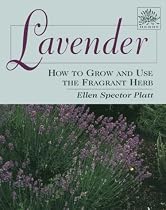 Lavender: How to Grow and Use the Fragrant Herb