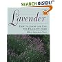 Lavender: How to Grow and Use the Fragrant Herb
