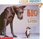 Big and Little (Learning Center Emergent Readers)