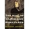 Glimpse the World of Napoleon