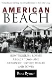 American Beach: How Progress Robbed a Black Town--and Nation--of History, Wealth, and Power