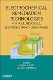 Electrochemical Remediation Technologies for Polluted Soils, Sediments and Groundwater