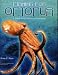 Fishing for Octopus: A Guide for Commercial Fishermen