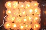 Cream / Off White Rose Leaf String Lights 9-foot Long UL listed