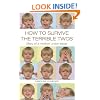 How to Survive the Terrible Twos: Diary of a Mother Under Siege