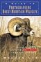 A Guide to Photographing Rocky Mountain Wildlife