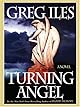 Turning Angel: A Novel
