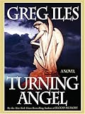 Turning Angel: A Novel