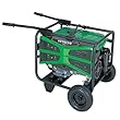 Hitachi E60 6,000-Watt 11 HP Portable Generator Powered By Honda
