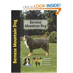 Bernese Mountain Dog (Petlove)