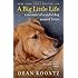 A Big Little Life