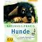 Hundegesundheit