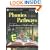 Phonics Pathways: Clear Steps to Easy Reading and Perfect Spelling