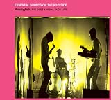 ESSENTIAL SOUNDS ON THE WILD SIDE.-ANALOGFISH:THE BEST&HIBIYA YAON LIVE.-