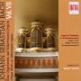 Bach: Organ Works on Silbermann Organs, Vol. 7