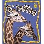 Giraffes (Crabapples)