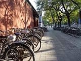 Bicycles in Beijing - Landscape Shot - 24