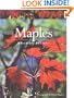 Maples