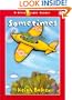 Sometimes (Green Light Readers Level 1)