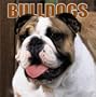 Bulldogs 2004 Calendar