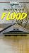 Raging Planet: Flood