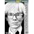 Andy Warhol (Artists of the 20th Century)