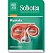 Sobotta - Spielend durch die Anatomie. Muskeln