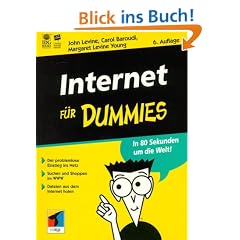 Internet f�r Dummies. In 80 Sekunden um die Welt