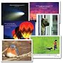 Birthday Cards: Quotations Assortment - box of 12 cards and envelopes, 2 each of 6 different designs