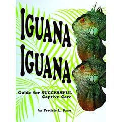 Iguana Iguana: Guide for Successful Captive Care