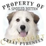 Great Pyrenees Property Of Adult T Shirt