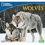 2014 national geographic wolves deluxe wall