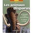 D�tails sur le produit