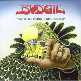 Budgie Foto 2