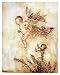 Peter and the Fairies Art Print by Arthur Rackham, 16" x 20"