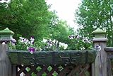 NEW! Jubilee Deck & Railing Planter Basket