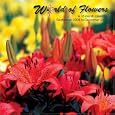 World of Flowers 2009 Wall Calendar