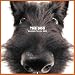 Artlist Collection the Dog 2005 Calendar Scottish Terrier