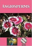 Angiosperms DVD
