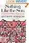 Nothing Like the Sun: A Story of Shakespeare's Love-Life (The Norton Library)