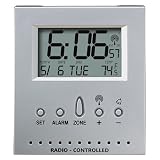Homedics DWS-100 Envirostation Atomic Travel Alarm Clock with Indoor Thermometer by HoMedics