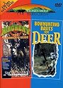 Bowhunting Basics for Deer / Archery-Beginners Guide